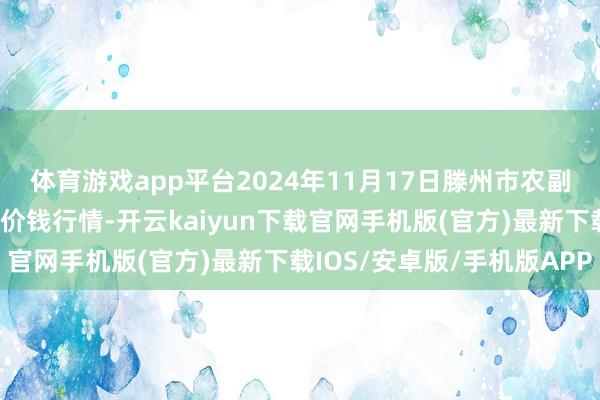 体育游戏app平台2024年11月17日滕州市农副产物物流中心有限公司价钱行情-开云kaiyun下载官网手机版(官方)最新下载IOS/安卓版/手机版APP