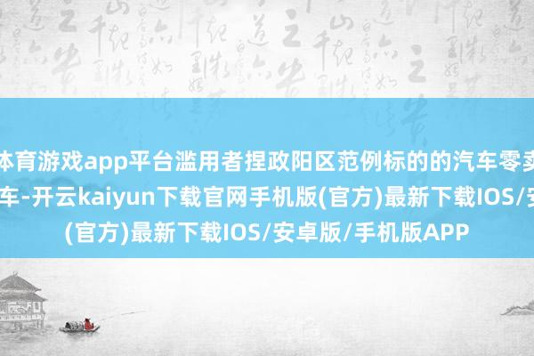 体育游戏app平台滥用者捏政阳区范例标的的汽车零卖企业购买乘用车新车-开云kaiyun下载官网手机版(官方)最新下载IOS/安卓版/手机版APP