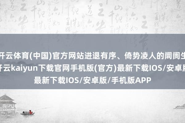开云体育(中国)官方网站进退有序、倚势凌人的阛阓生态加速造成-开云kaiyun下载官网手机版(官方)最新下载IOS/安卓版/手机版APP